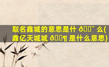 取名鑫城的意思是什 🐯 么(鑫亿天城城 🐶 是什么意思)